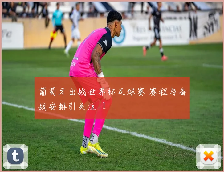 葡萄牙出战世界杯足球赛 赛程与备战安排引关注_1