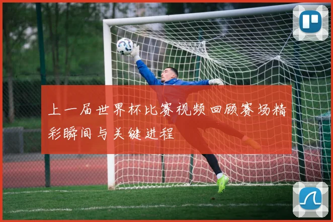 上一届世界杯比赛视频回顾赛场精彩瞬间与关键进程