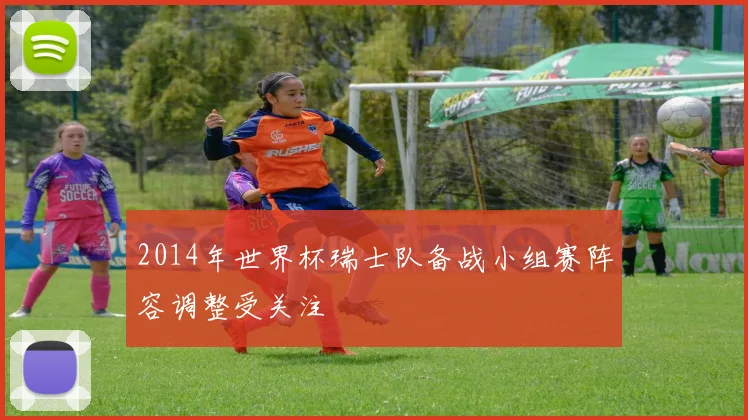 2014年世界杯瑞士队备战小组赛阵容调整受关注