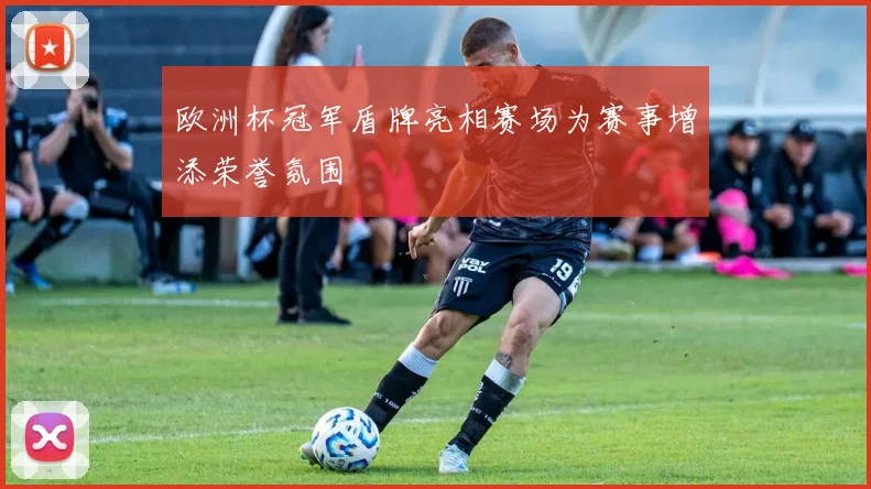 欧洲杯冠军盾牌亮相赛场为赛事增添荣誉氛围