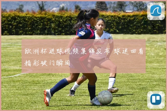 欧洲杯进球视频集锦发布 球迷回看精彩破门瞬间