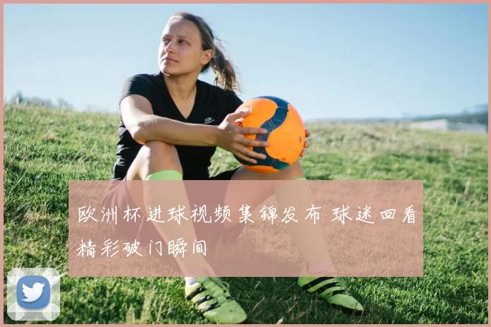 欧洲杯进球视频集锦发布 球迷回看精彩破门瞬间