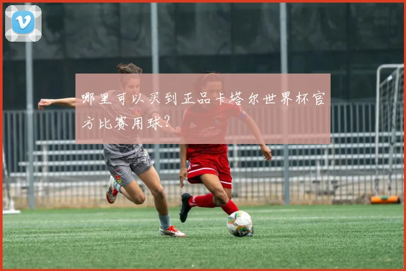 哪里可以买到正品卡塔尔世界杯官方比赛用球？