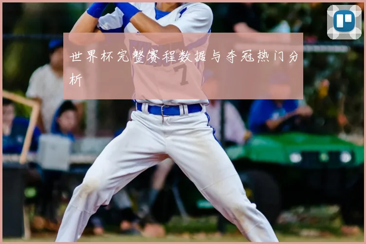 世界杯完整赛程数据与夺冠热门分析